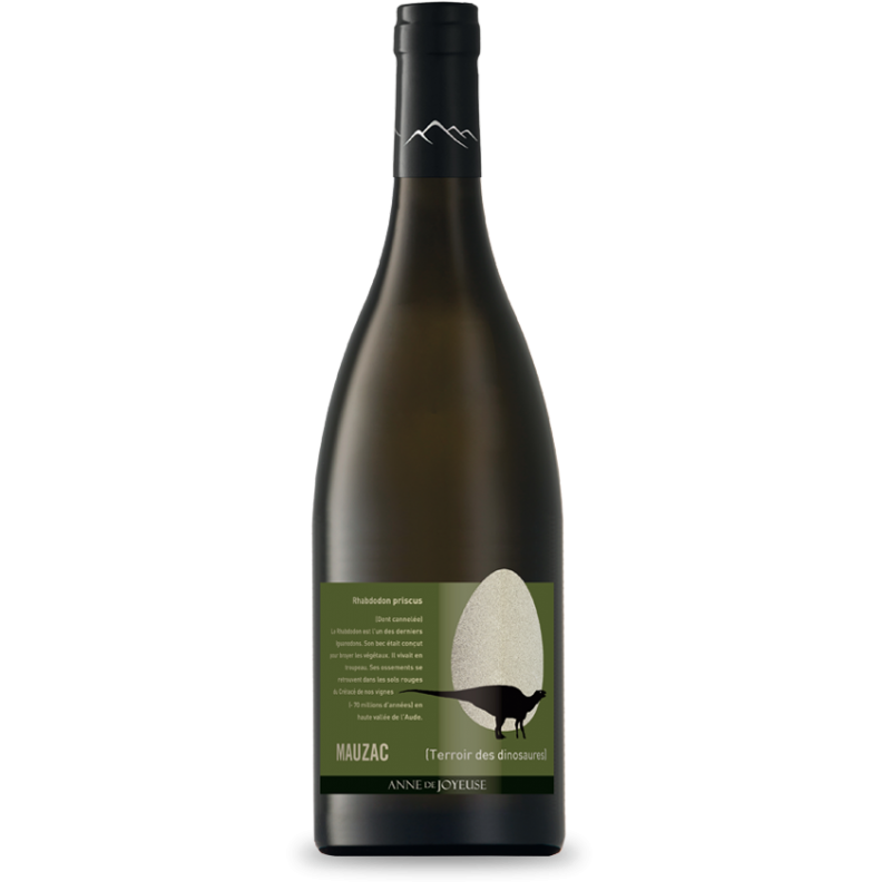Anne de Joyeuse - Dinosaures Rhabdodon Priscus Mauzac