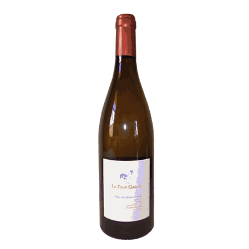 La Tour Gallus - Muscadet de Sèvre et Maine sur Lie