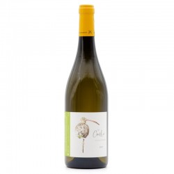 Clos du Porteau - Courlis -...